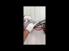 Электрическое скользящее кольцо Ethernet ECN000-21P-06S-01EG